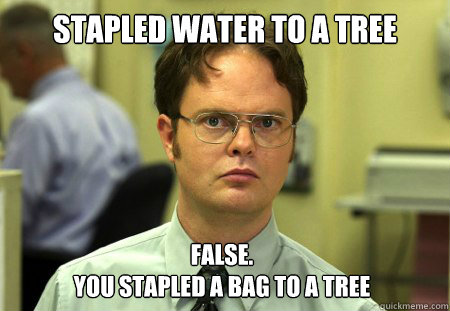 Stapled water to a tree False. 
You stapled a bag to a tree  Dwight