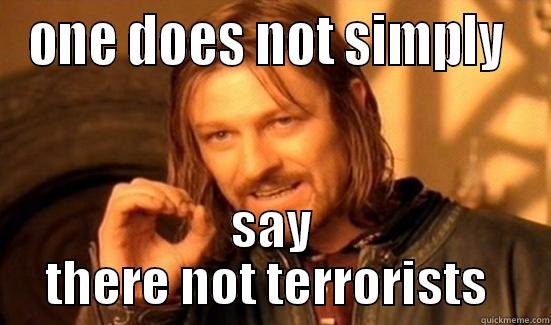 ONE DOES NOT SIMPLY  SAY THERE NOT TERRORISTS  Boromir