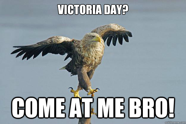 victoria day?

 come at me bro! - victoria day?

 come at me bro!  Eagle Come at me
