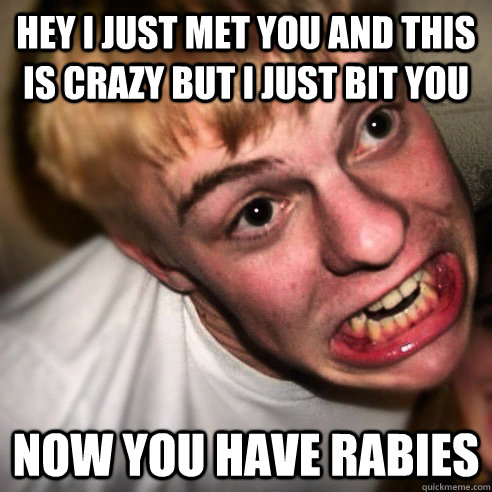 Hey i just met you and this is crazy but i just bit you now you have rabies  rabies