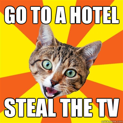 Go to a hotel Steal the TV  Bad Advice Cat