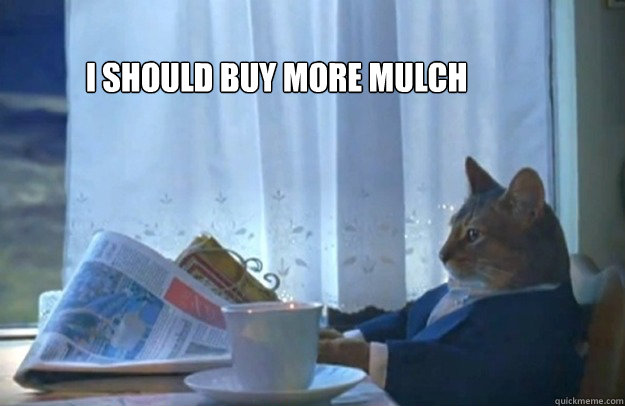 I should buy more mulch - I should buy more mulch  Sophisticated Cat