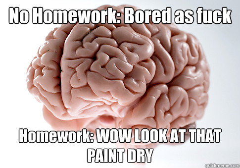 No Homework: Bored as fuck Homework: WOW LOOK AT THAT PAINT DRY  - No Homework: Bored as fuck Homework: WOW LOOK AT THAT PAINT DRY   Scumbag Brain