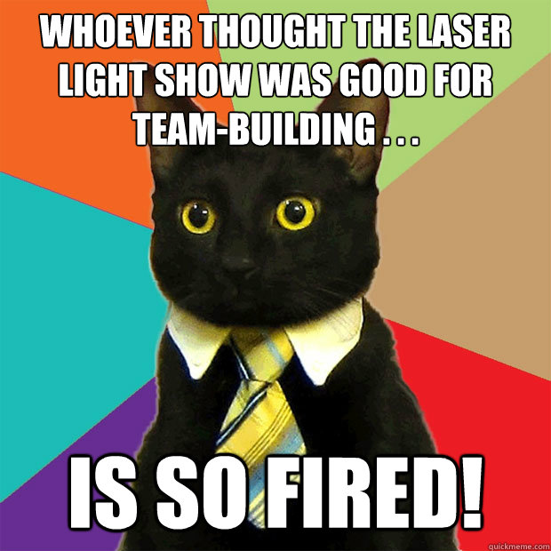 Whoever thought the laser light show was good for team-building . . . is SO fired!  Business Cat