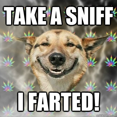 Take a sniff I FARTED! - Take a sniff I FARTED!  Stoner Dog