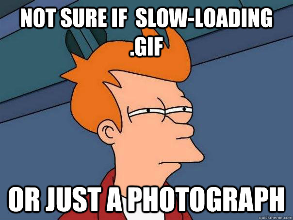 Not sure if  slow-loading .gif Or just a photograph  Futurama Fry