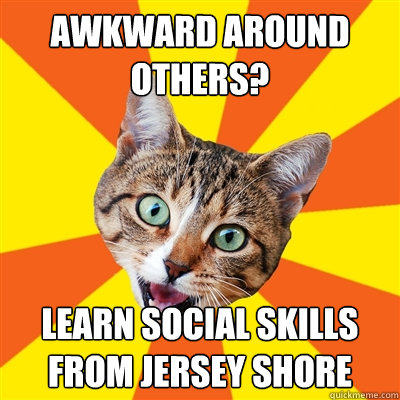 Awkward around others? learn social skills from jersey shore  Bad Advice Cat