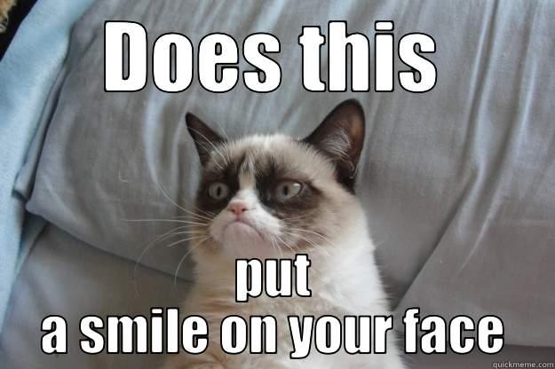 DOES THIS PUT A SMILE ON YOUR FACE? Grumpy Cat