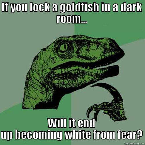 IF YOU LOCK A GOLDFISH IN A DARK ROOM... WILL IT END UP BECOMING WHITE FROM FEAR? Philosoraptor