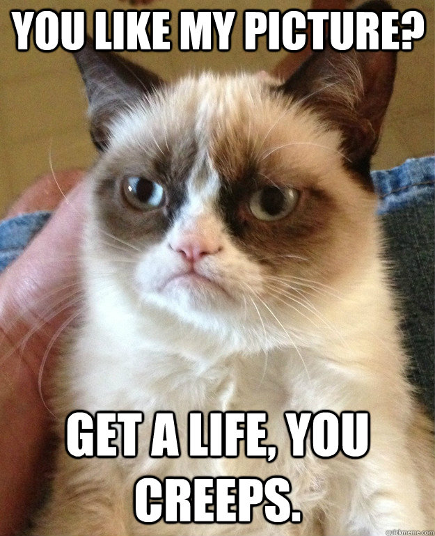 You like my picture? Get a life, you creeps.  Grumpy Cat