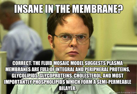 Insane in the membrane? Correct. the fluid mosaic model suggests plasma membranes are full of integral and peripheral proteins, glycolipids, glycoproteins, cholesterol, and most importantly phospholipids which form a semi-permeable bilayer. - Insane in the membrane? Correct. the fluid mosaic model suggests plasma membranes are full of integral and peripheral proteins, glycolipids, glycoproteins, cholesterol, and most importantly phospholipids which form a semi-permeable bilayer.  Dwight