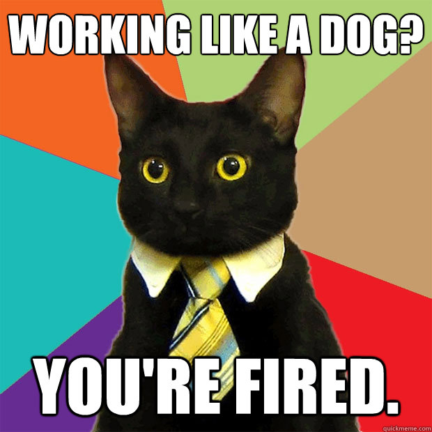 Working like a dog? You're fired.  Business Cat