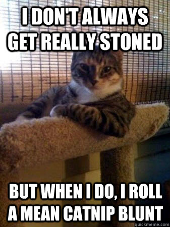 I don't always get really stoned but when I do, i roll a mean catnip blunt  The Most Interesting Cat in the World