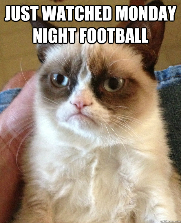 just watched Monday Night Football   Grumpy Cat