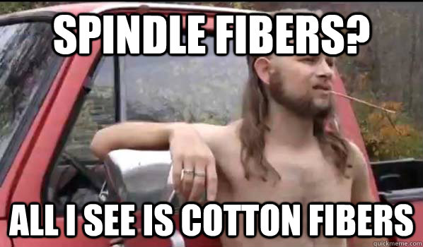 Spindle fibers? All i see is cotton fibers  Almost Politically Correct Redneck