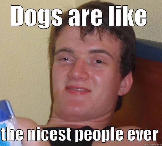 Friendly Dogs - DOGS ARE LIKE  THE NICEST PEOPLE EVER 10 Guy