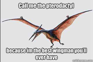 Call me the pterodactyl because im the best wingman you’ll ever have  Cool Story Pterodactyl