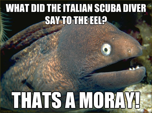 What did the Italian scuba diver say to the eel? Thats A Moray!  Bad Joke Eel