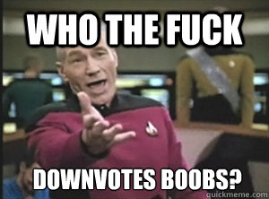 Who the fuck  Downvotes boobs?  Annoyed Picard