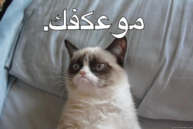 .موعكفك  Grumpy Cat