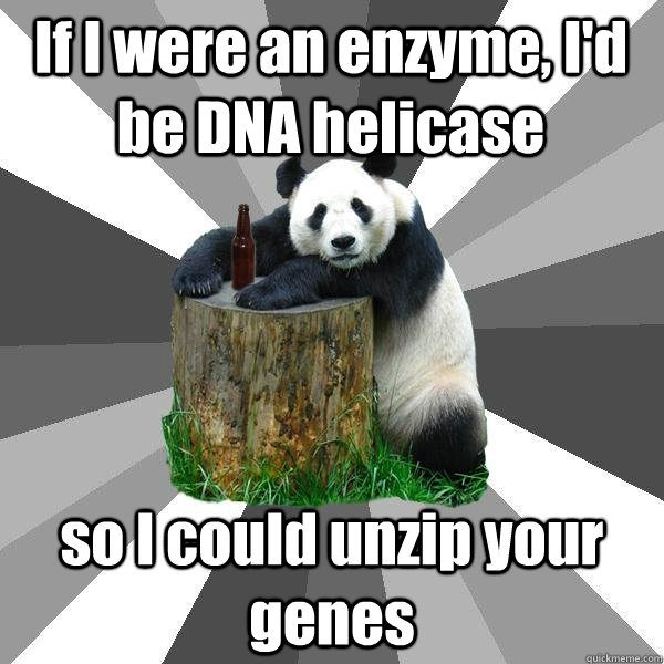 If I were an enzyme, I'd be DNA helicase so I could unzip your genes  Pickup-Line Panda