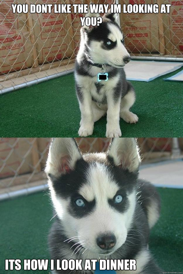 you dont like the way im looking at you? Its how i look at dinner  Insanity puppy