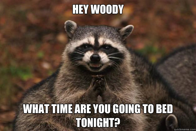 Hey Woody What time are you going to bed tonight?  Evil Plotting Raccoon