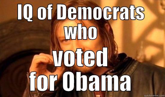 IQ OF DEMOCRATS WHO VOTED FOR OBAMA Boromir