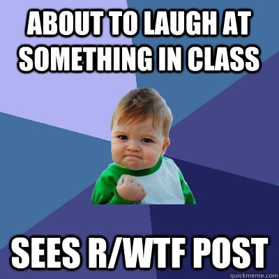 About to laugh at something in class sees r/wtf post  Success Kid