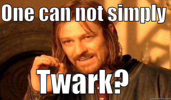 ONE CAN NOT SIMPLY  TWARK? Boromir