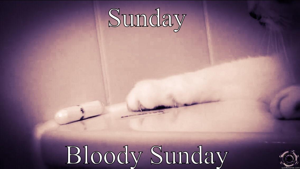 SUNDAY BLOODY SUNDAY Misc