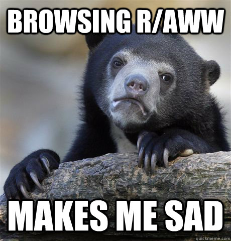 Browsing r/aww  makes me sad - Browsing r/aww  makes me sad  Confession Bear