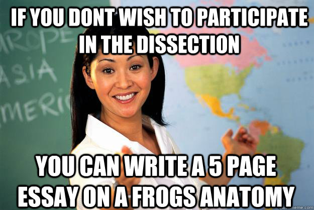 If you dont wish to participate in the dissection you can write a 5 page essay on a frogs anatomy   Unhelpful High School Teacher