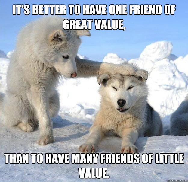 It's better to have one friend of great value, than to have many friends of little value. - It's better to have one friend of great value, than to have many friends of little value.  Caring Husky