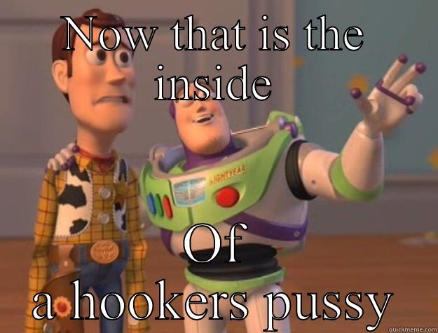 Hooker pussy - NOW THAT IS THE INSIDE OF A HOOKERS PUSSY Toy Story