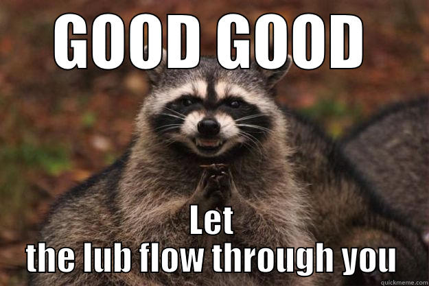 GOOD GOOD - GOOD GOOD LET THE LUB FLOW THROUGH YOU Evil Plotting Raccoon