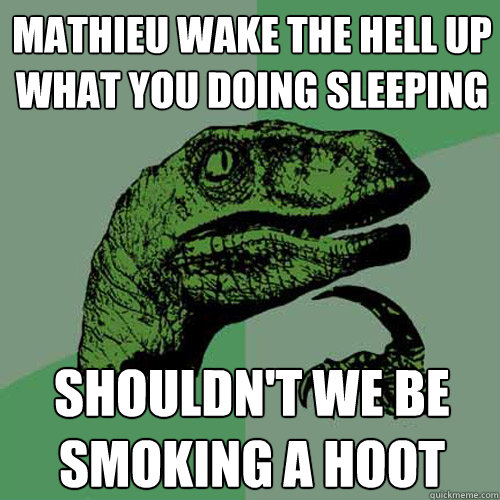 Mathieu wake the hell up what you doing sleeping Shouldn't we be smoking a hoot  Philosoraptor