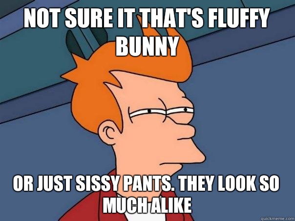 not sure it that's fluffy bunny or just sissy pants. They look so much alike  Futurama Fry