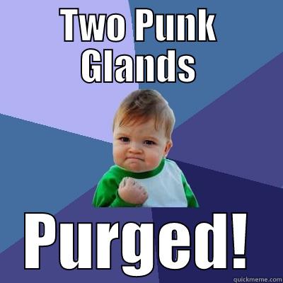 TWO PUNK GLANDS PURGED! Success Kid