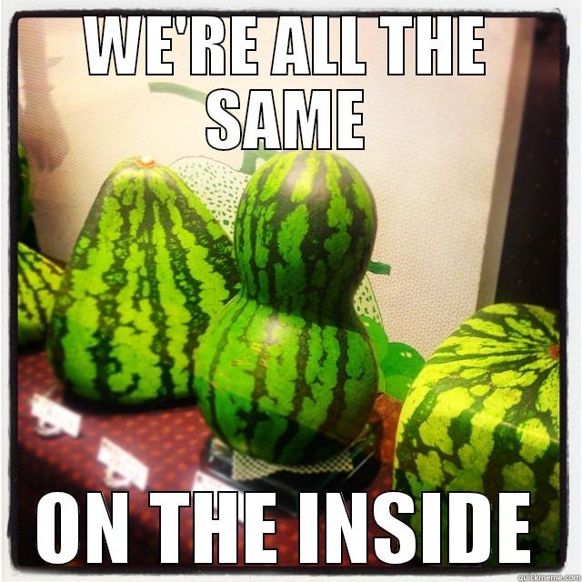 social justice melons - WE'RE ALL THE SAME ON THE INSIDE Misc