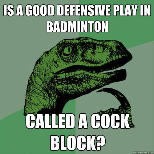 Is a good defensive play in Badminton called a cock block?  Philosoraptor