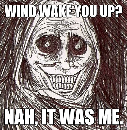 Wind wake you up? Nah, it was me. - Wind wake you up? Nah, it was me.  Horrifying Houseguest