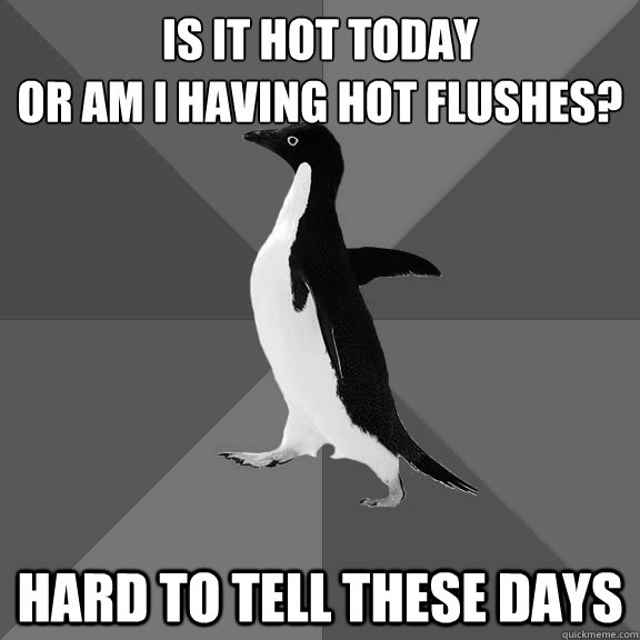 is-it-hot-today-or-am-i-having-hot-flushes-hard-to-tell-these-days