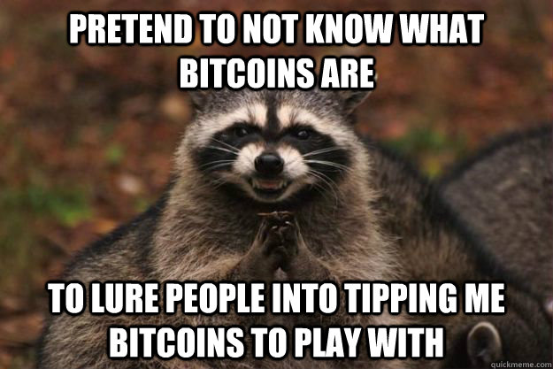 Pretend to not know what bitcoins are to lure people into tipping me bitcoins to play with  Evil Plotting Raccoon