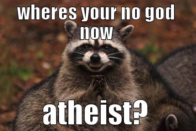 WHERES YOUR NO GOD NOW ATHEIST? Evil Plotting Raccoon