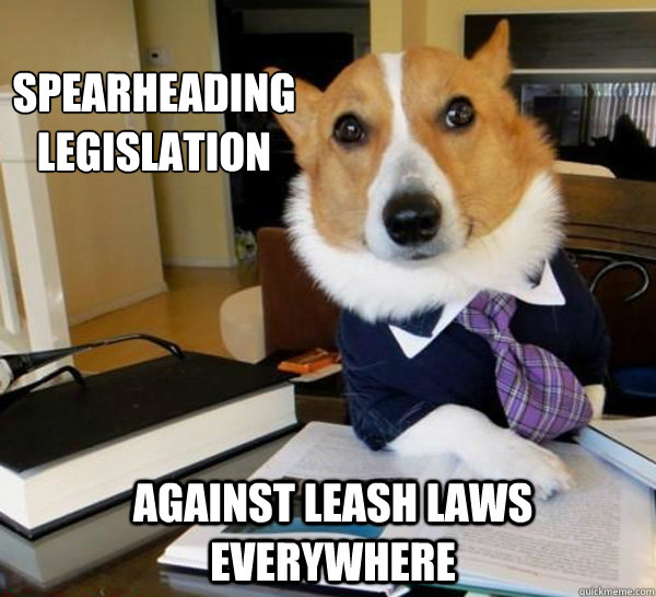 Spearheading legislation against leash laws everywhere  Lawyer Dog