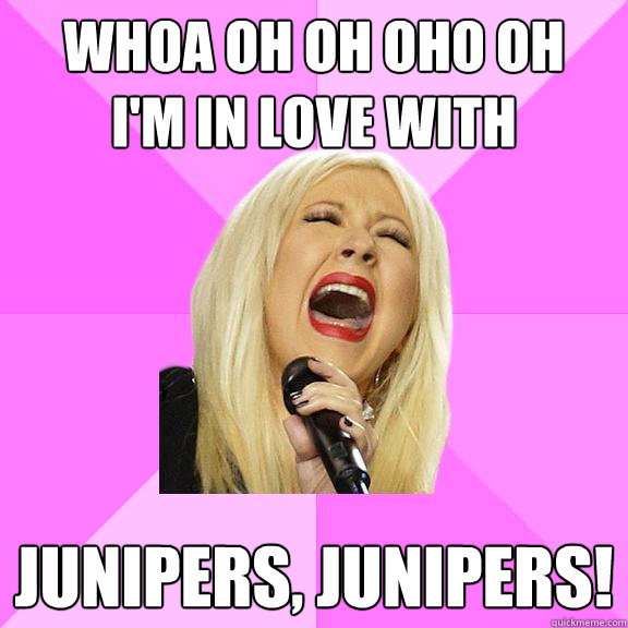 WHOA OH OH OHO OH
I'M In love with JUNIPERS, junipers!  Wrong Lyrics Christina