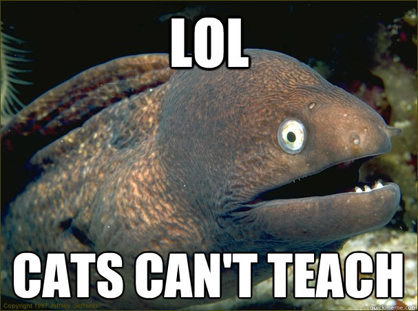 Lol Cats can't teach  Bad Joke Eel