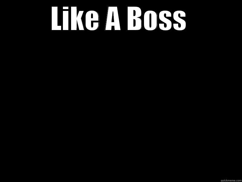 LIKE A BOSS  Misc