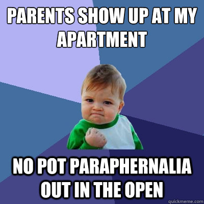 Parents show up at my apartment no pot paraphernalia out in the open  Success Kid